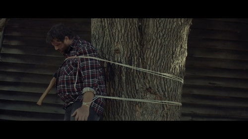 Lurking Woods Bild 5