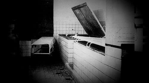 Blut und Boden - Nazi-Wissenschaft Bild 2