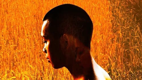 เณรกระโดดกำแพง Bild 2