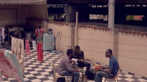 Cidade Pássaro Bild 3