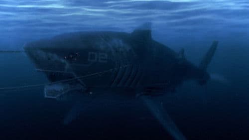 Mega Shark vs. Mecha Shark Bild 5