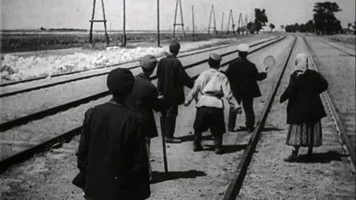 Schwein bleibt Schwein Bild 1