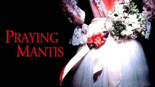 Praying Mantis Bild 1