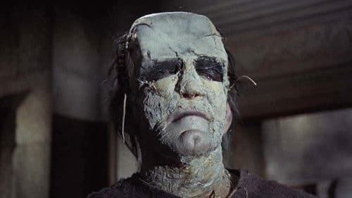Frankensteins Ungeheuer Bild 4
