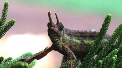 The End of the Game Bild 3