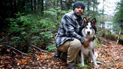 Called to the Wild Bild 7