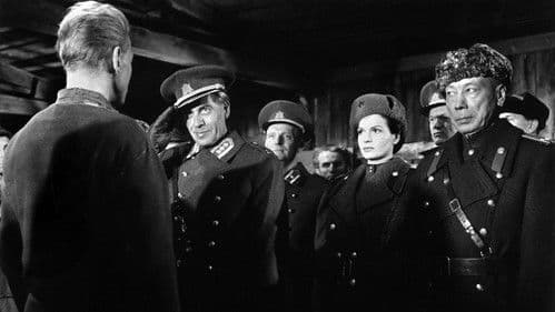 Der Arzt von Stalingrad Bild 4