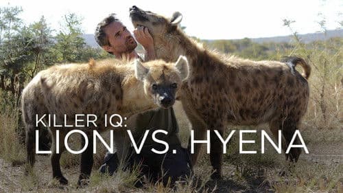 Killer IQ: Lion vs. Hyena Bild 2