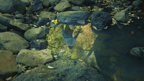 Quintaesencia Bild 5