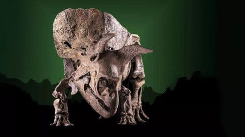 Jurassic Cash Bild 1