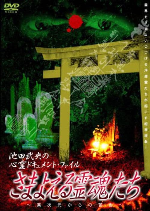 さまよえる霊魂たち