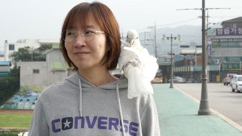 우리는 매일매일 Bild 4