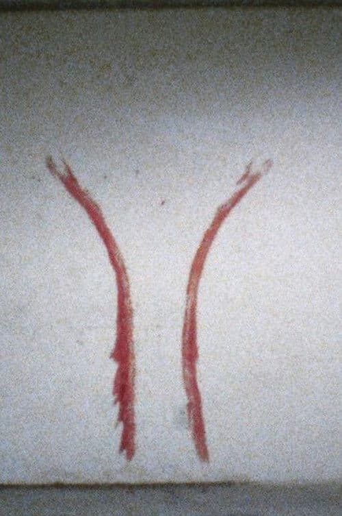 Untitled (Blood Sign #2/Body Tracks)