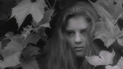 Alice in Wonderland Bild 1