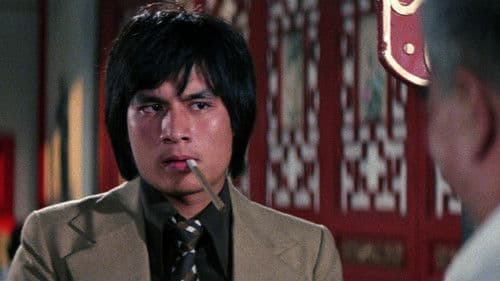 Der Kung Fu-Fighter von Chinatown Bild 4