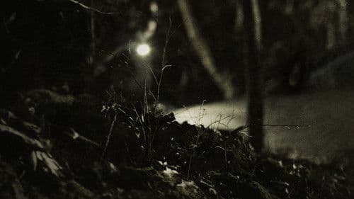 Where Murder Lies Bild 2