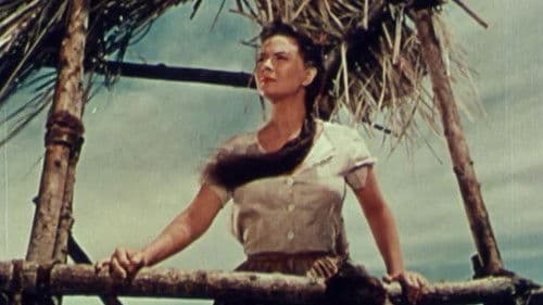 El último perro Bild 1