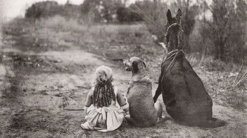 Through the Back Door Bild 1