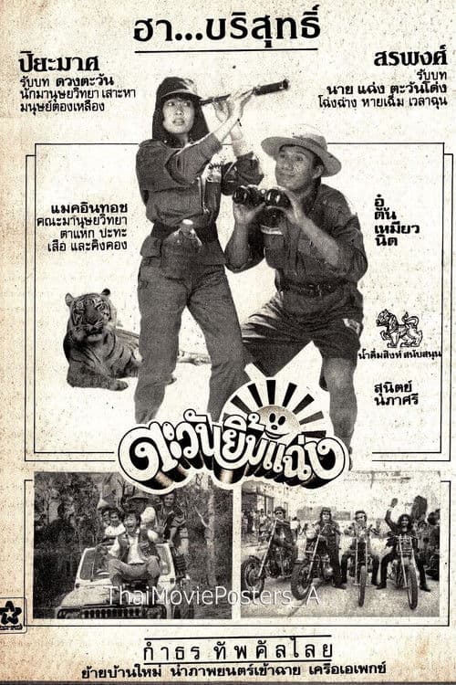 ตะวันยิ้มแฉ่ง