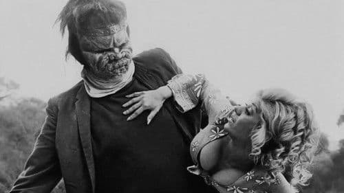 Draculas Bluthochzeit mit Frankenstein Bild 2