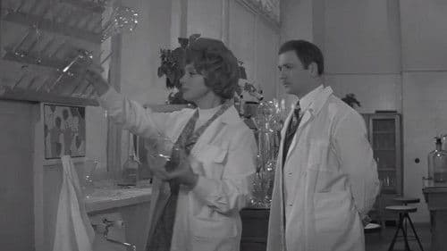 Седьмое небо Bild 2