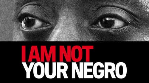 I Am Not Your Negro Bild 4