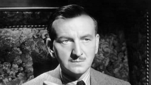 I See a Dark Stranger Bild 4