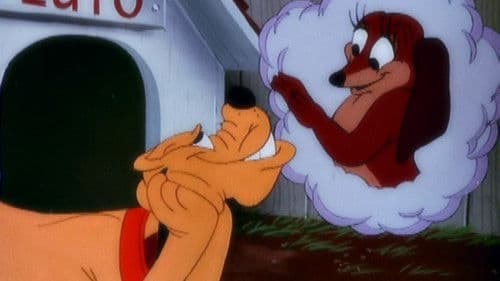 Der Zauberhund Bild 1