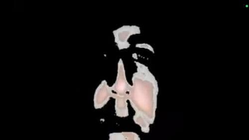 Viaje a Chapuy Bild 1