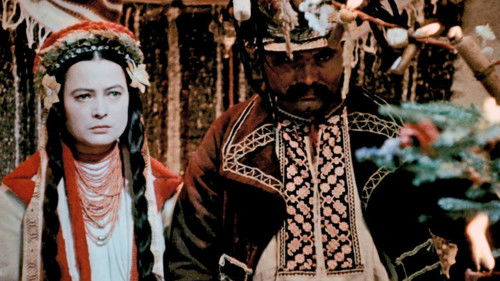 Дорогой ценой Bild 5