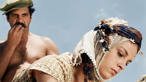 Trockener Sommer Bild 2