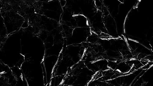 Dreams, Confessions and The End Of The World Bild 1