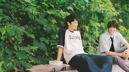 ひだまりが聴こえる Bild 3