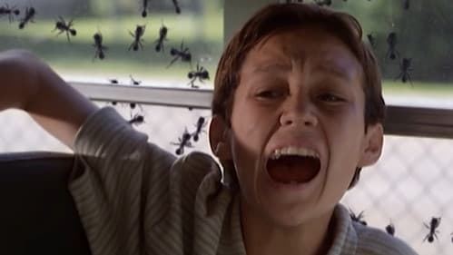 Marabunta - Die Killerameisen greifen an Bild 5