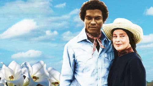 Christmas Lilies of the Field Bild 1