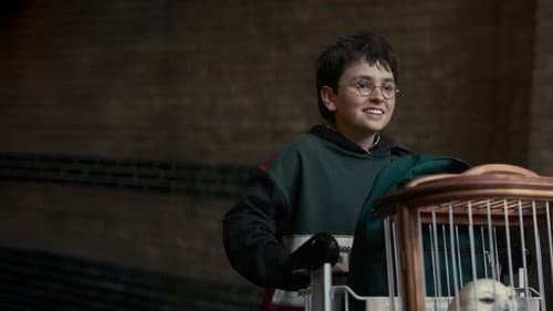 Harry Potter Bild 5