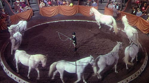 Gabilan, mein bester Freund Bild 2