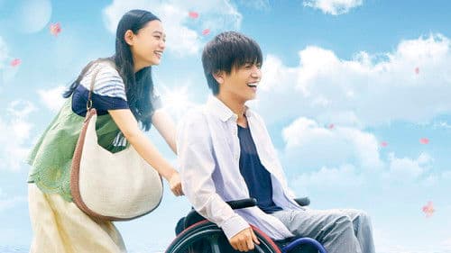 パーフェクトワールド 君といる奇跡 Bild 1