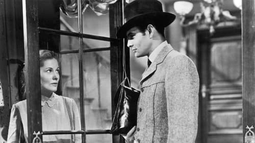 Brief einer Unbekannten Bild 6