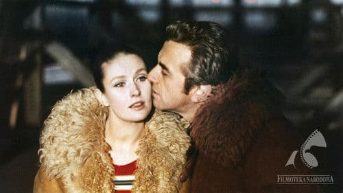 Alles zu verkaufen Bild 2