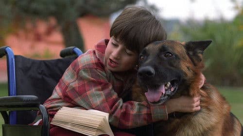 Il destino ha 4 zampe Bild 1