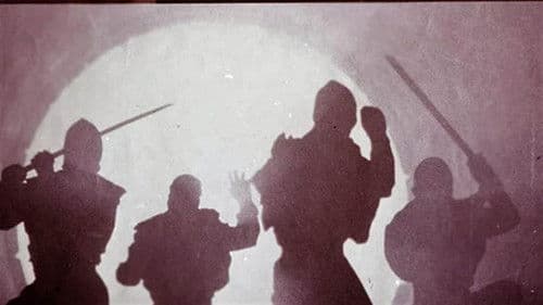 Ninja - In geheimer Mission Bild 3