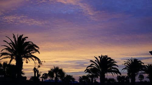 One Glorious Sunset Bild 1