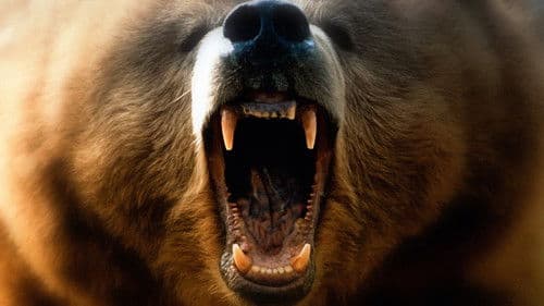 Auf Messers Schneide - Rivalen am Abgrund Bild 8