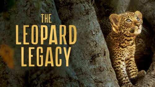 Olimba, Königin der Leoparden Bild 2