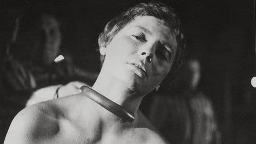 Die Passagierin Bild 4