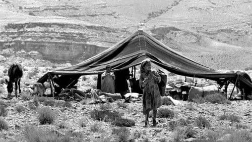 ريح الاوراس Bild 4