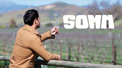 Somm Bild 4