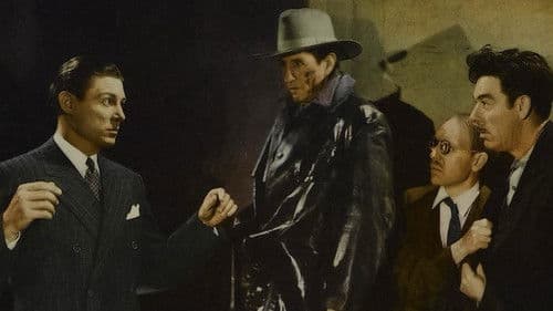 The Black Raven Bild 3