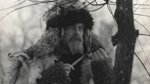 Лісова пісня. Мавка Bild 4